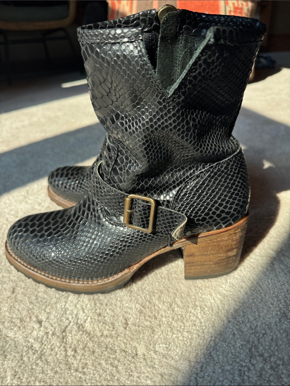 Women's Freebird Carlito Black Snake Leather Boot with Buckle